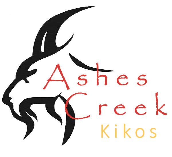 Ashes Creek Kiko Logo