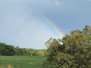 Rainbow over Ashes Creek Kikos